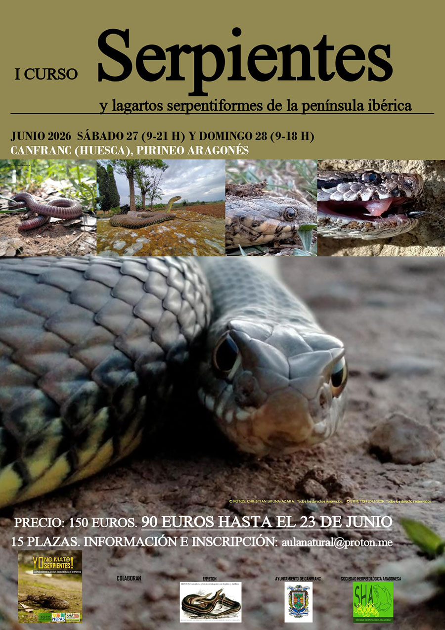 I Curso de Serpientes y Lagartos Serpentiformes de la Pen&iacute;nsula Ib&eacute;rica