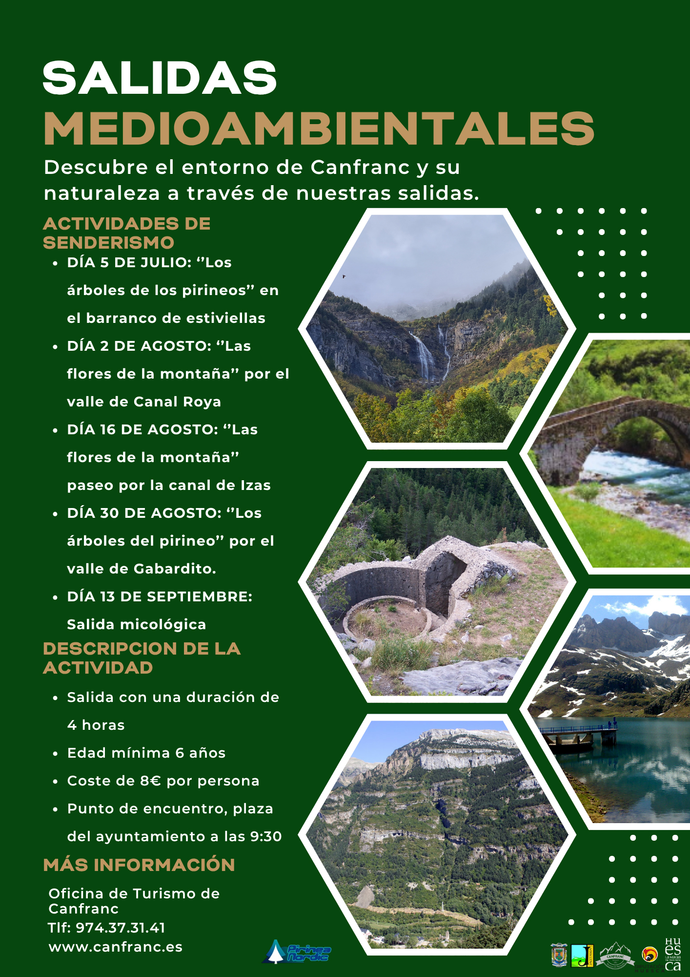 Salida de interpretación medioambiental sobre las flores de montaña y los árboles del pirineo. Excursiones guiadas por itinerarios y senderos de Canfranc. 