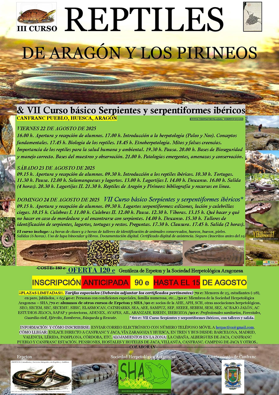 III Curso Reptiles de Aragón & Pirineos