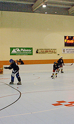 Pista de patinaje en l&iacute;nea de Canfranc. Tarifas y servicios. Ayuntamiento de Canfranc