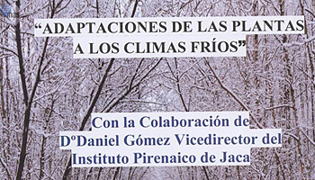 Charla Proyecci�n