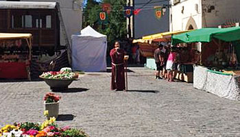 Feria del Camino Canfranc