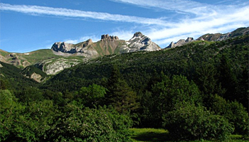  Actividad Las Aves en el valle del Aragon  