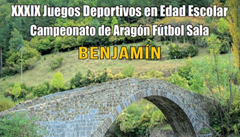  Campeonato de Aragn de Ftbol Sala - Benjamn