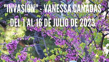 Exposicin de fotografa digital: Invasin de Vanessa Caadas