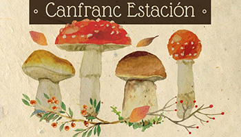 Jornadas micolgicas de Canfranc