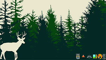 Da internacional de los Bosques en Canfranc