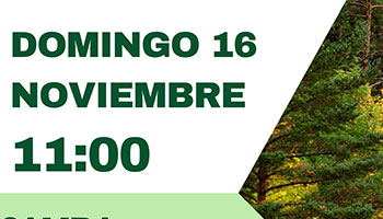 Salida interpretativa por los bosque de Canfranc Estacin