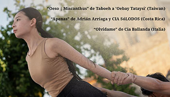 Festival: Danza en el Camino Aragon�s