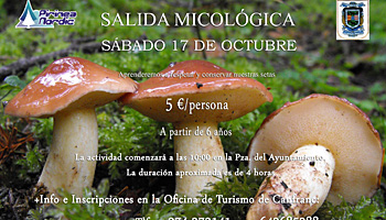 Salida micolgica