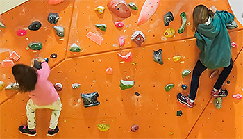 Iniciacin a la Escalada Indoor