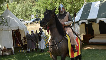 Feria del Camino en Canfranc