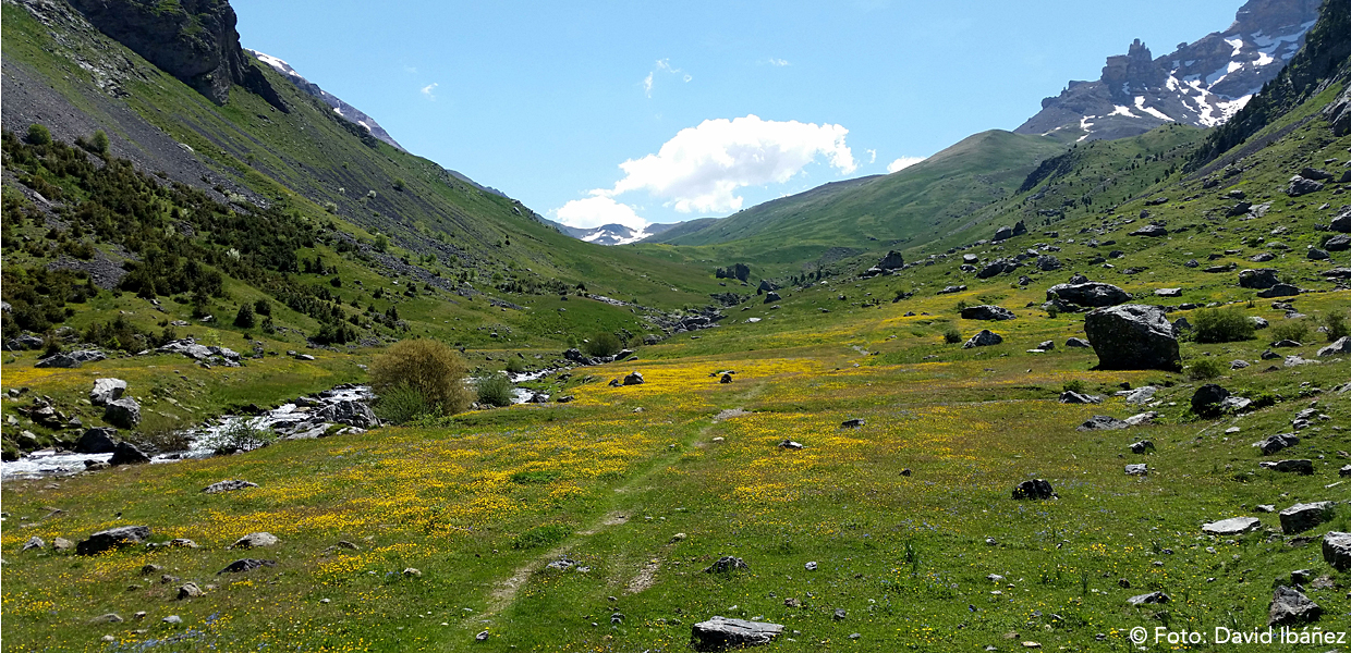 Canfranc. La Estacin de los Pirineos