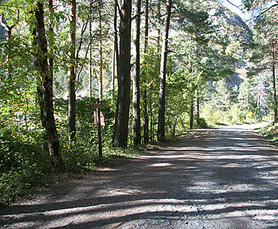 Paseos cortos en Canfranc