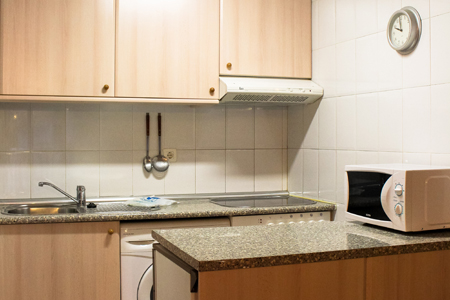 Apartamentos situados en Canfranc Estación. Constan de una habitación doble y sofá cama en el salón, suelo de madera, baño y cocina totalmente equipada ( lavadora, frigorífico, microondas, vitrocerámica y horno). Televisión , ropa de cama y toallas. 